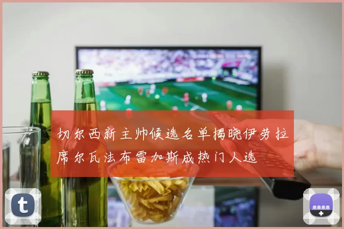 切尔西新主帅候选名单揭晓伊劳拉席尔瓦法布雷加斯成热门人选