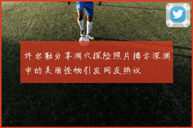 许尔勒分享洞穴探险照片揭示深渊中的美丽怪物引发网友热议
